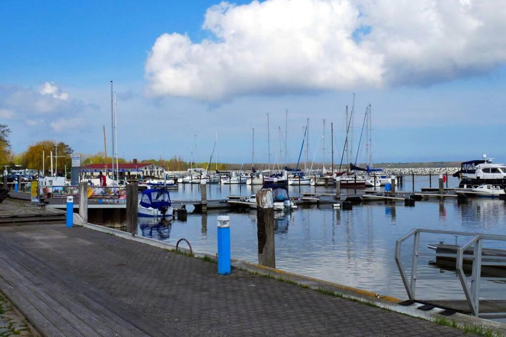 Wohnen Im Hafen Von Barth Mit Gemuetlicher Terrasse 巴特 外观 照片